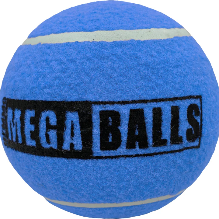 Dog & Co 4.0" Mega Ball Dog Toy