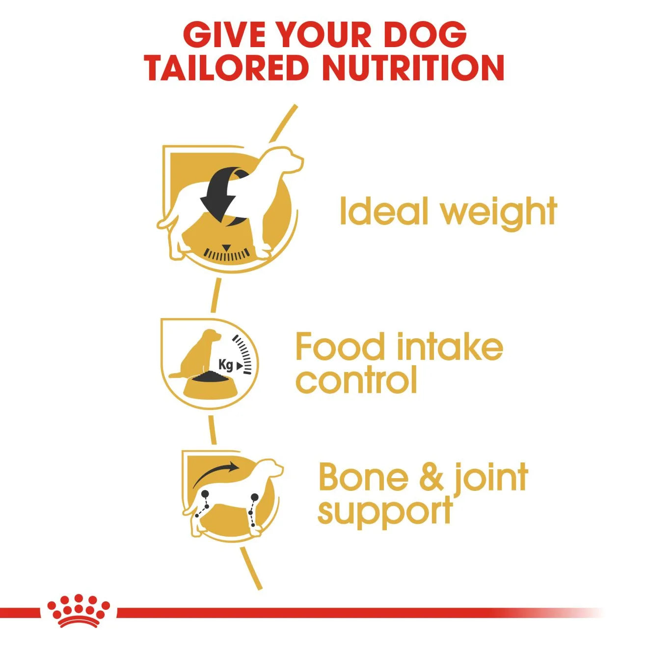 Royal Canin Dry Dog Food for Adult Beagles, 12kg