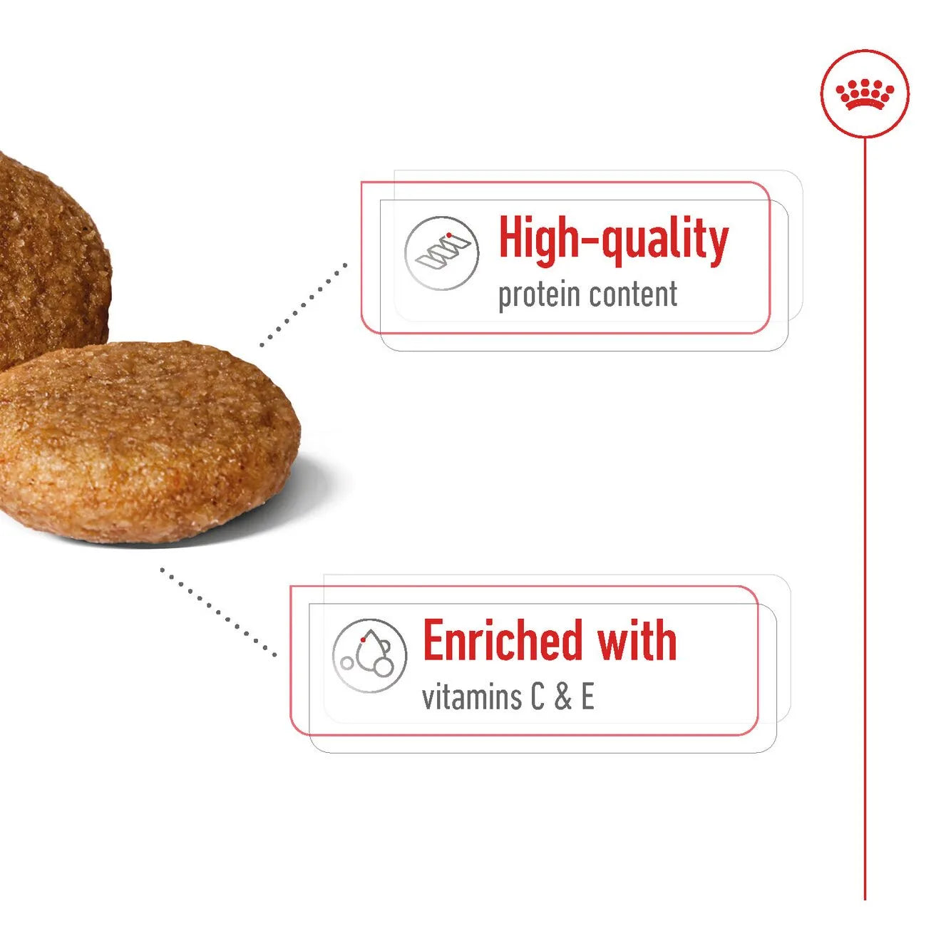 Royal Canin Dry Dog Food for Medium Breed Adult Dogs