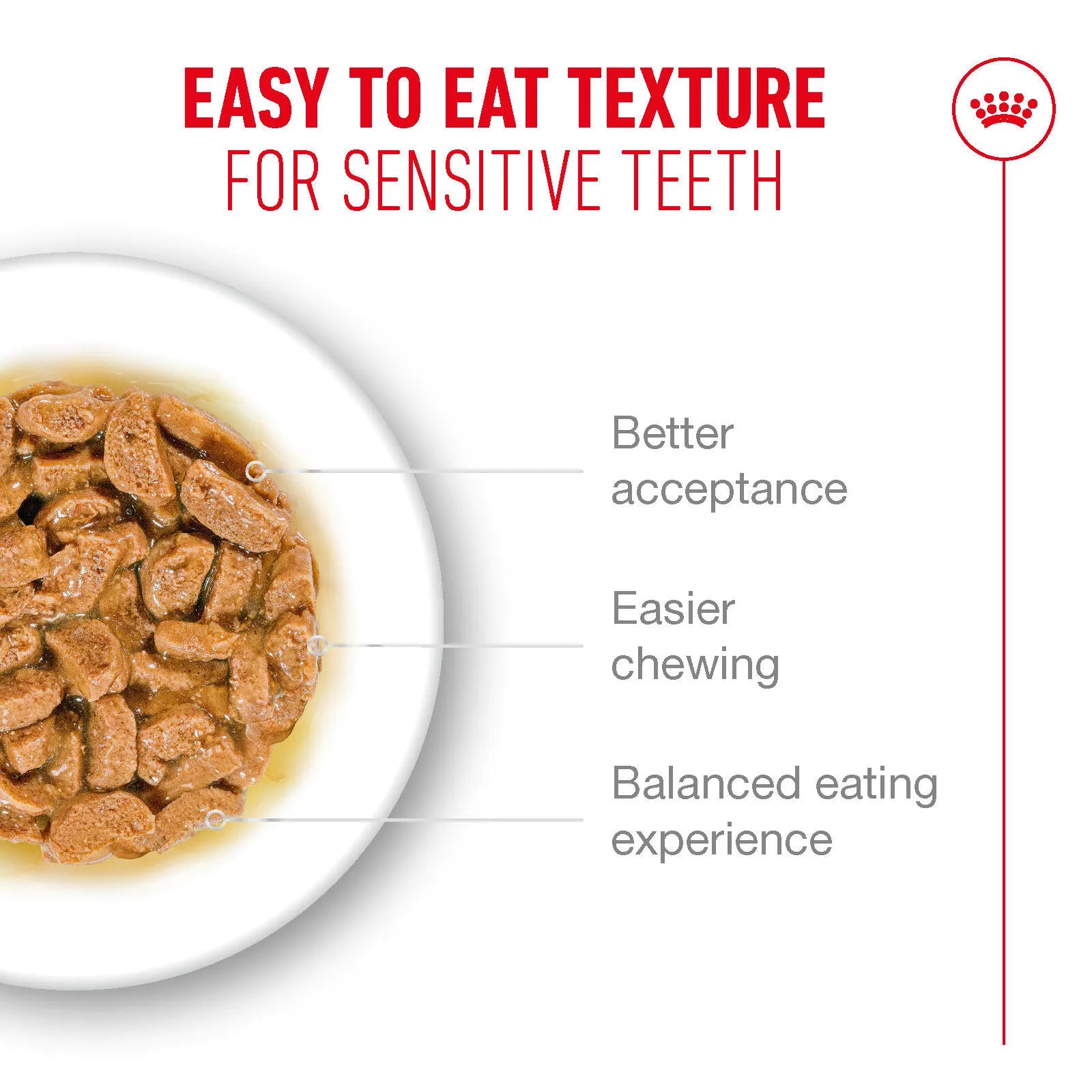 Royal Canin Ageing 11+ Wet Cat Food in Gravy for Senior Cats, 85g