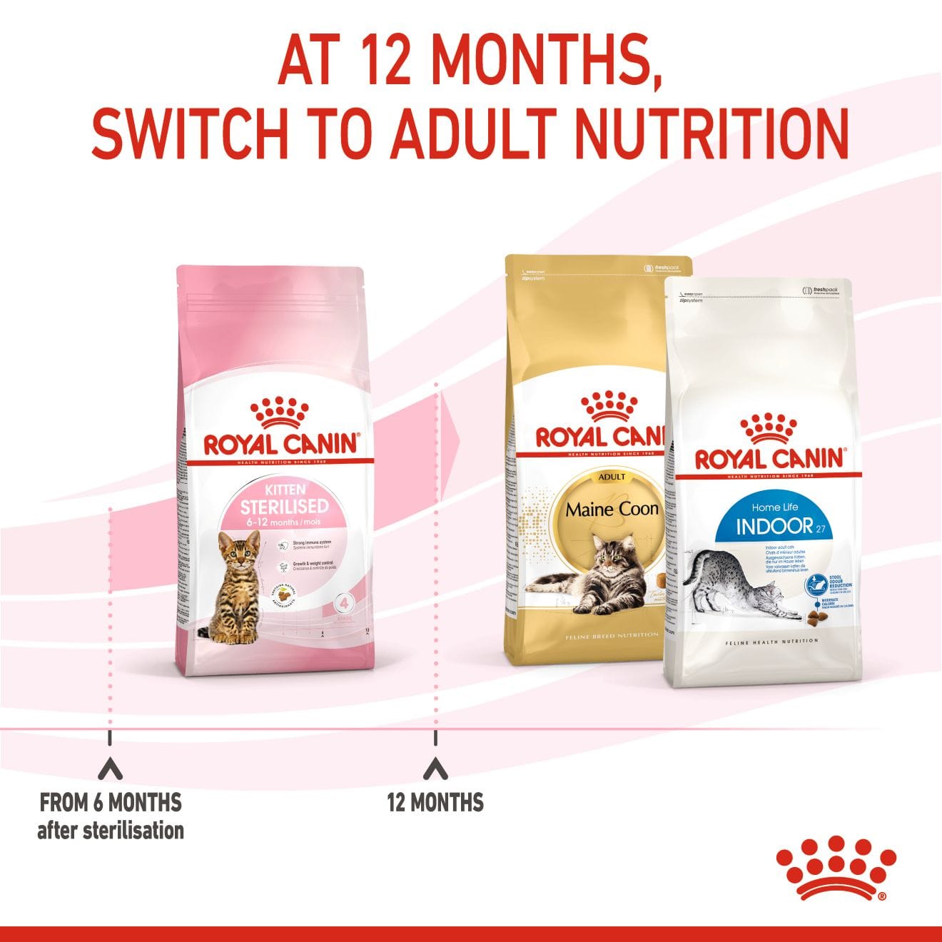 Royal Canin Kitten Sterilised Dry Cat Food for Neutered Kittens, 2kg
