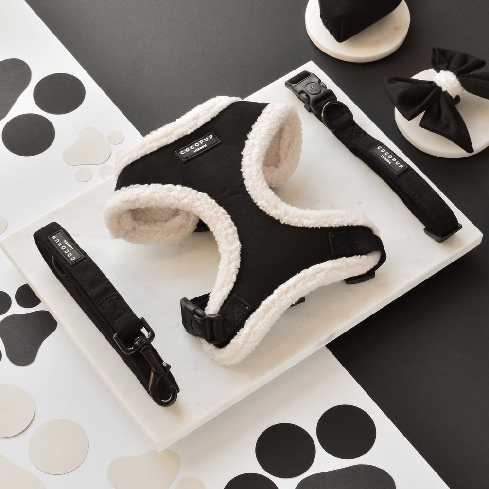 Cocopup Black Aviator Dog Lead