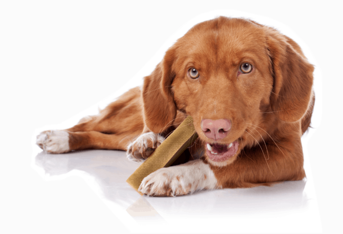 Yakers Himalayan Long-Lasting Dog Chew