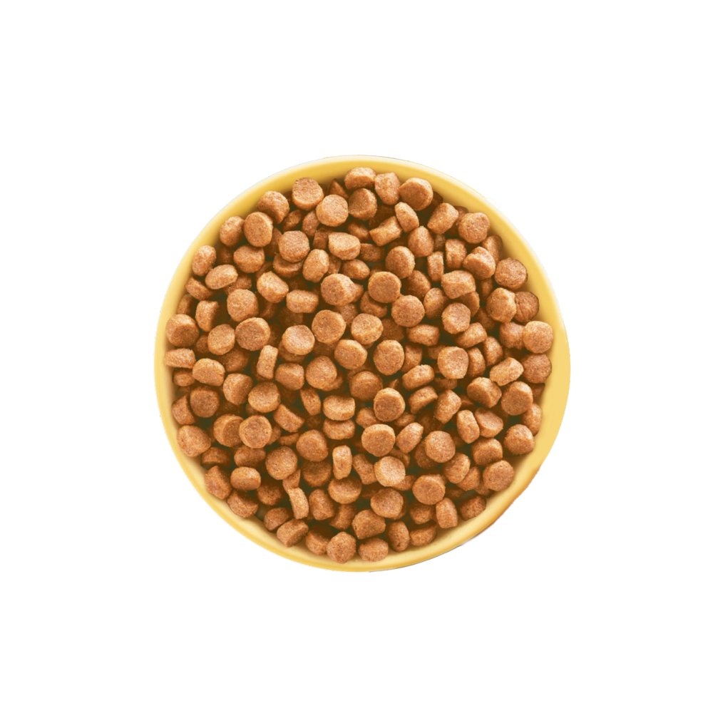 Pedigree Poultry & Vegetables Complete Dry Dog Food for Puppies, 3kg