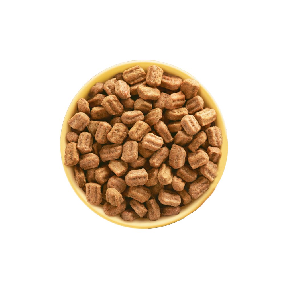 Pedigree Poultry & Vegetables Complete Dry Dog Food for Adult Dogs, 3kg