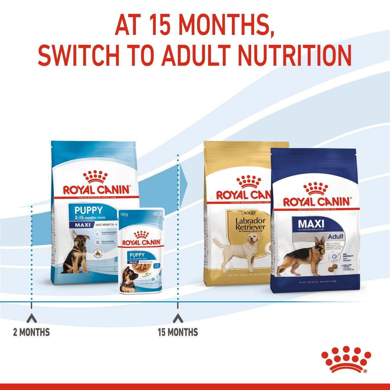 Royal Canin Dry Dog Food for Large Breed Puppies, 4kg