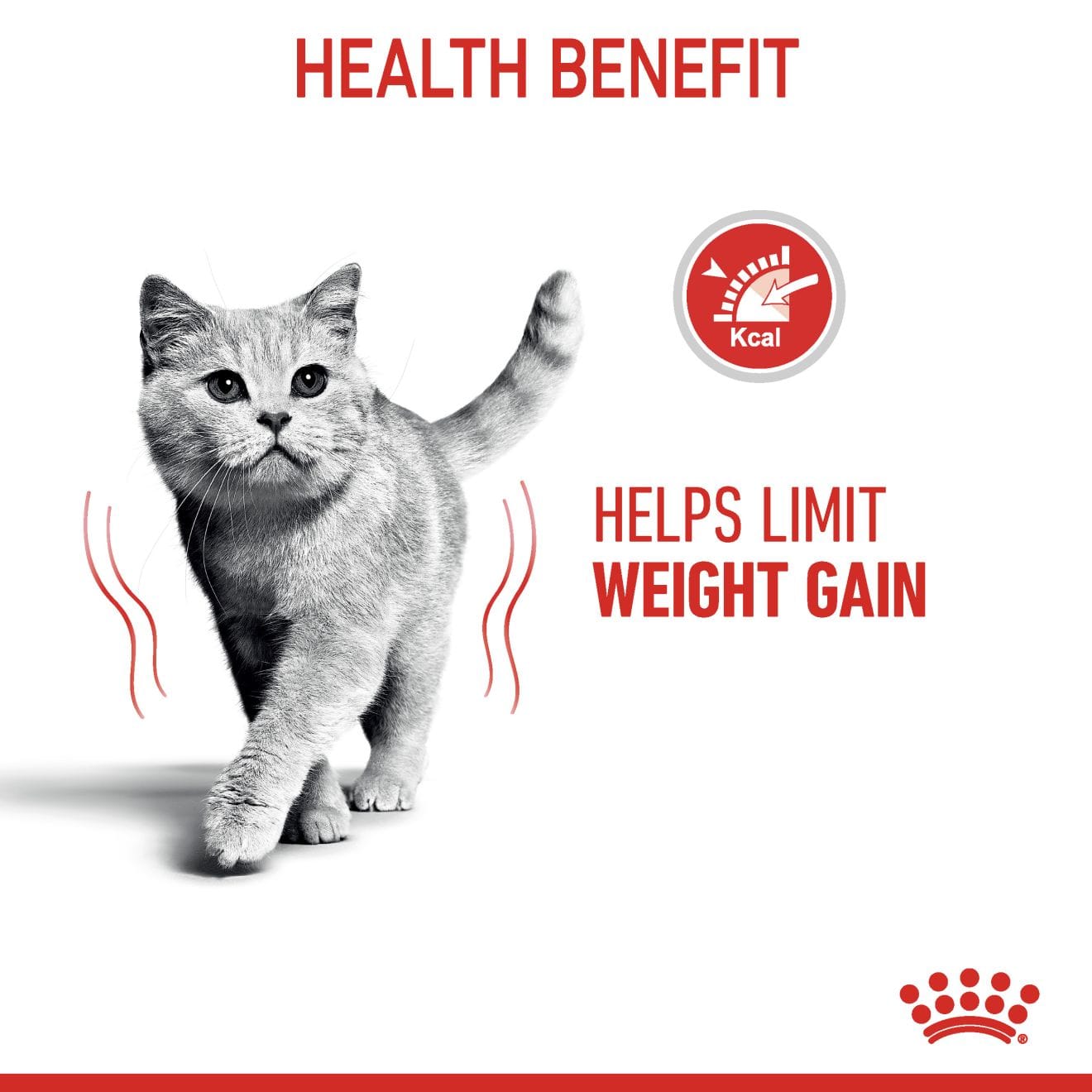 Royal Canin Light Weight Care Wet Cat Food Thin Slices In Gravy for Adult Cats, 85g