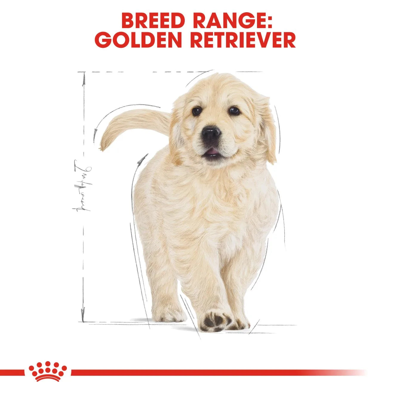 Royal Canin Dry Dog Food for Golden Retriever Puppies