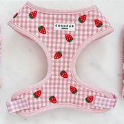 Cocopup Strawberry Picnic Pup Adjustable Neck Dog Harness