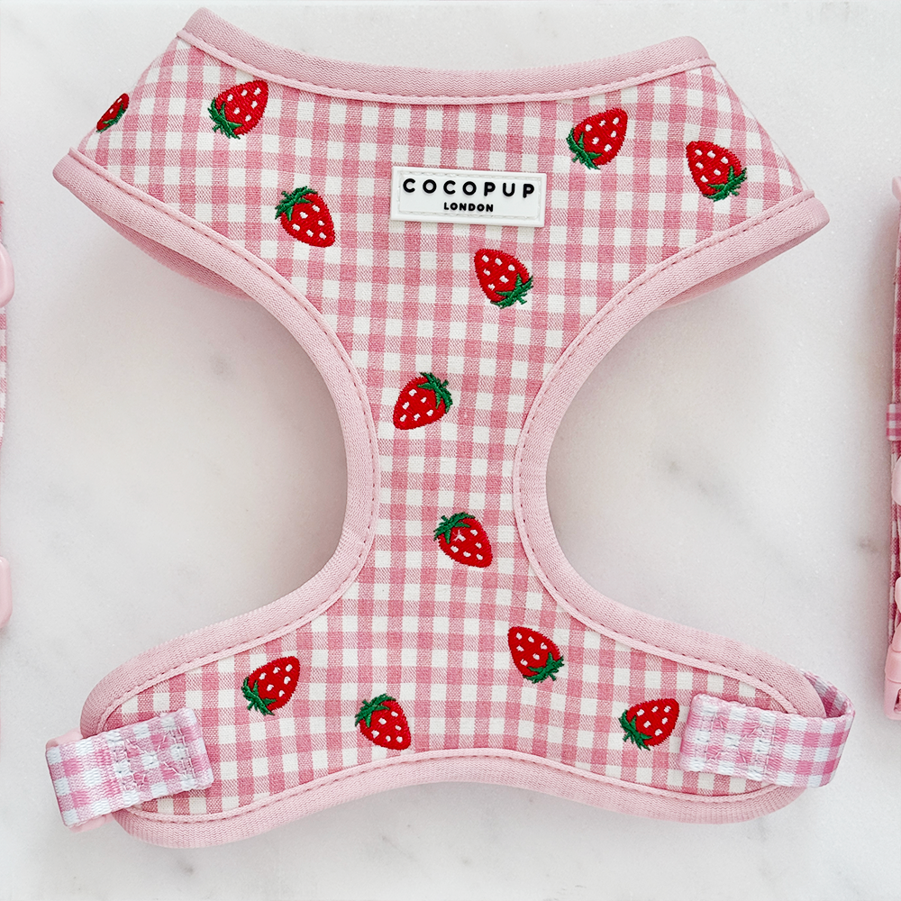 Cocopup Strawberry Picnic Pup Adjustable Neck Dog Harness