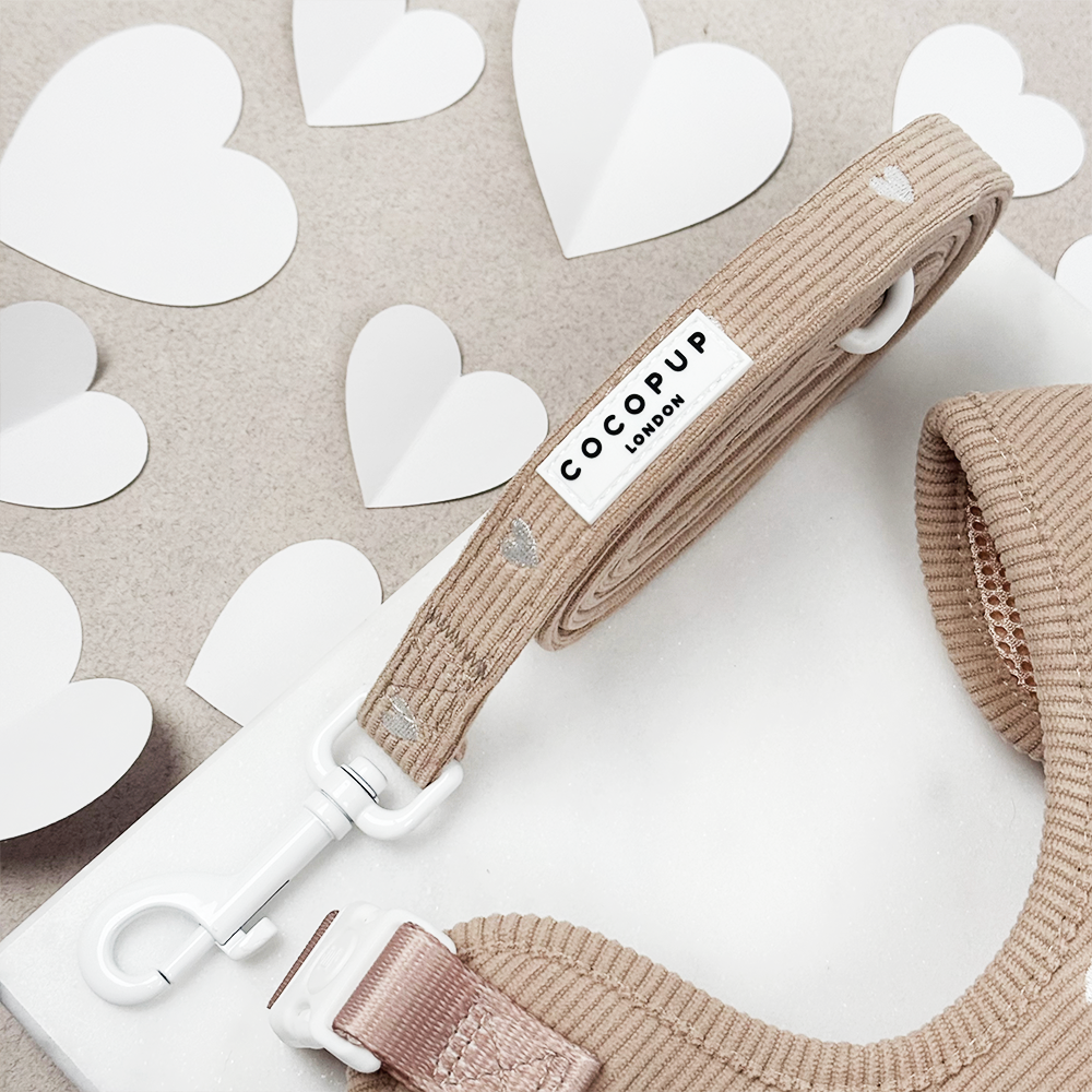 Cocopup Chai Hearts Dog Lead