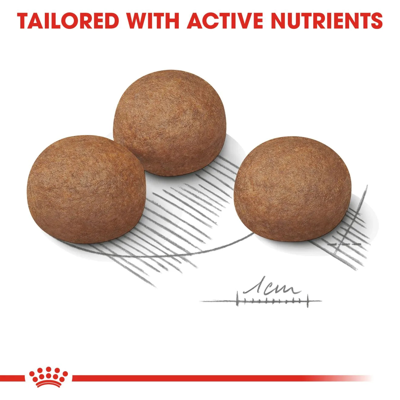 Royal Canin Digestive Care Dry Dog Food for Large Breed Adult Dogs, 12kg