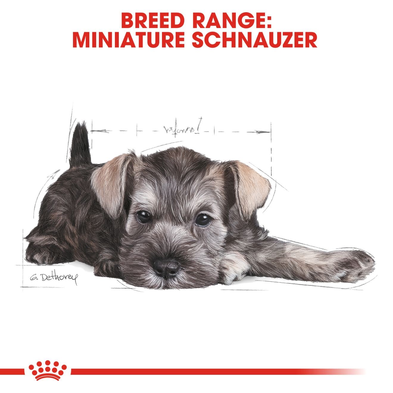 Royal Canin Dry Dog Food for Schnauzer Puppies, 1.5kg