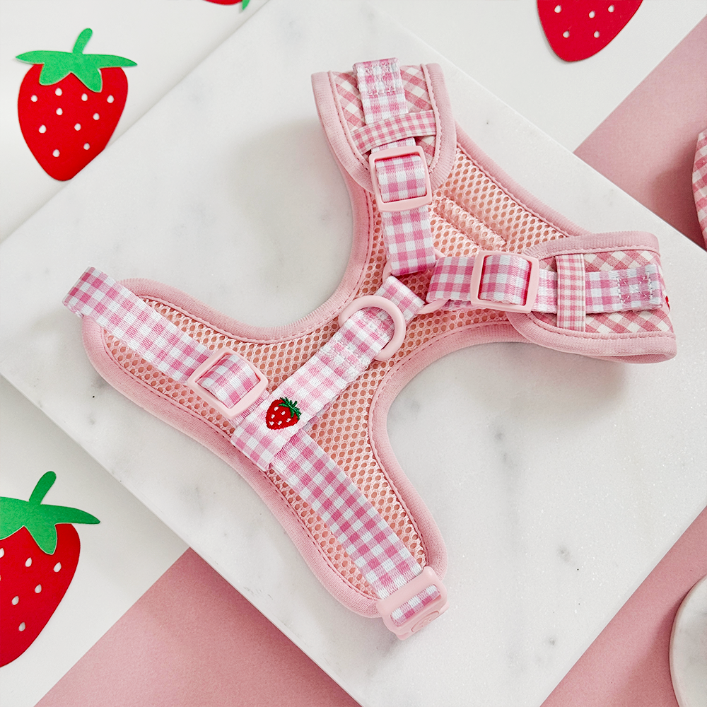 Cocopup Strawberry Picnic Pup Adjustable Neck Dog Harness