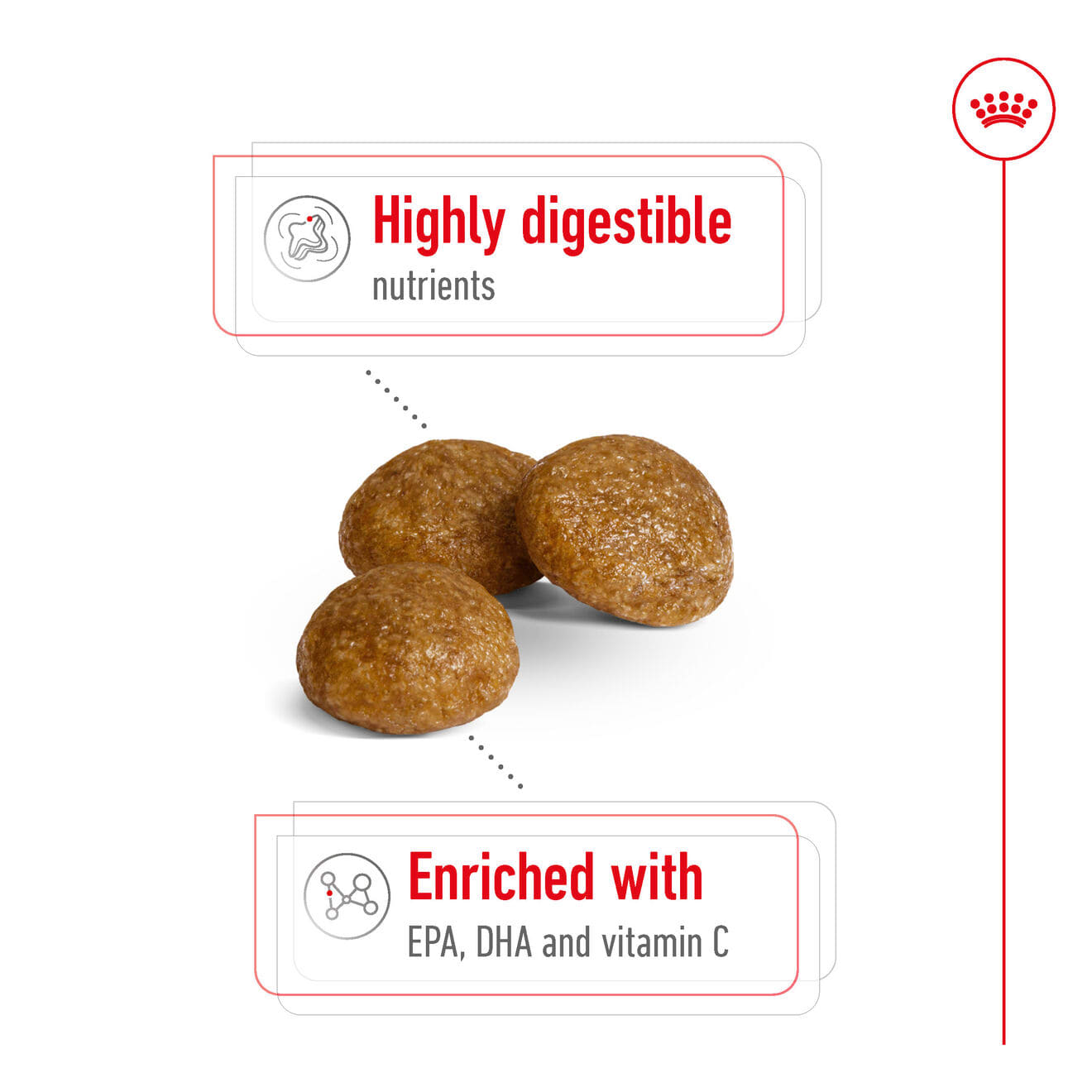 Royal Canin Dry Dog Food for Extra-Small Breed Adult Dogs, 1.5kg