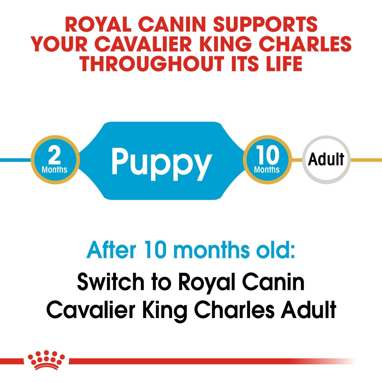 Royal Canin Dry Dog Food for Cavalier King Charles Puppies, 1.5kg
