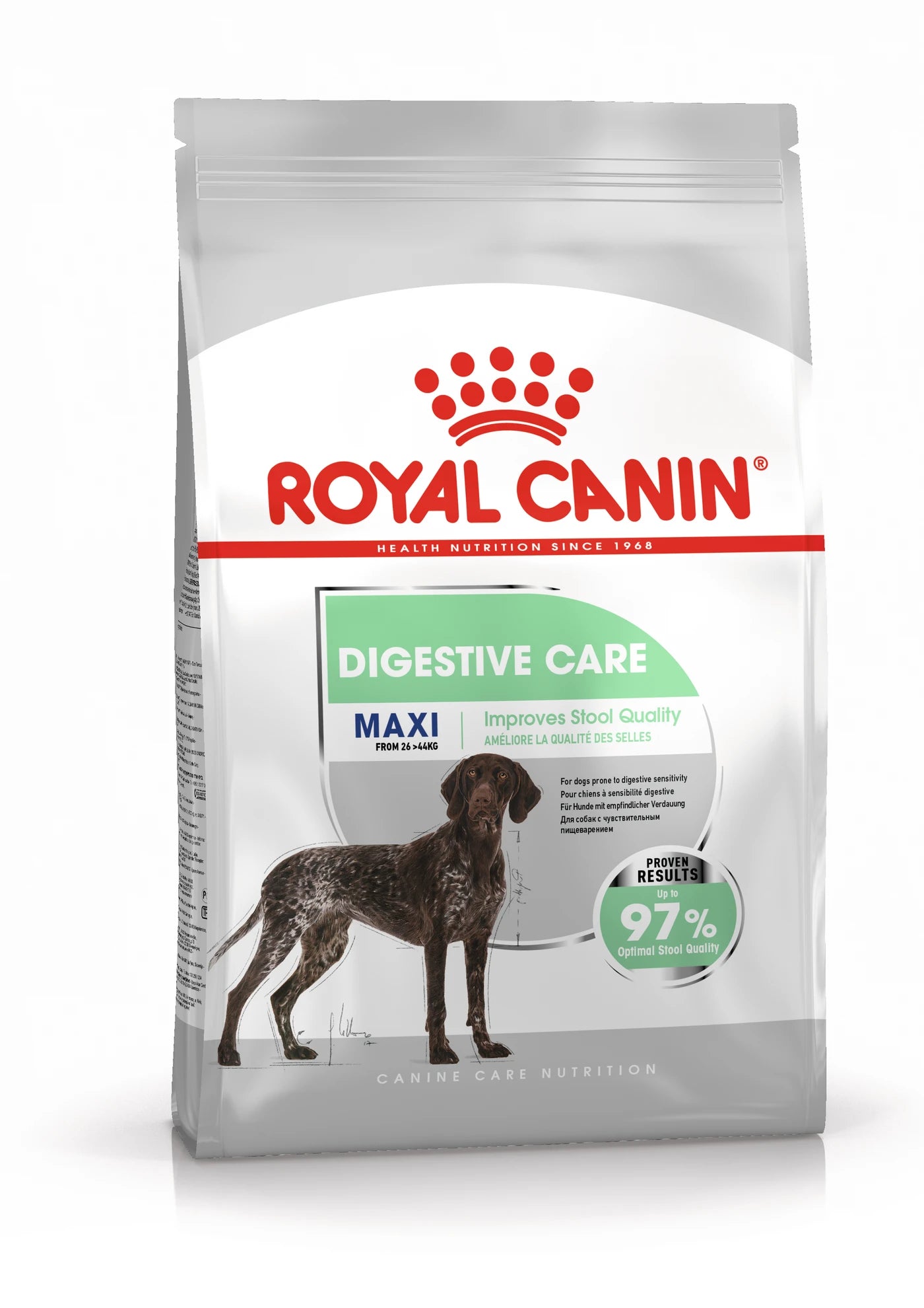 Royal Canin Digestive Care Dry Dog Food for Large Breed Adult Dogs, 12kg