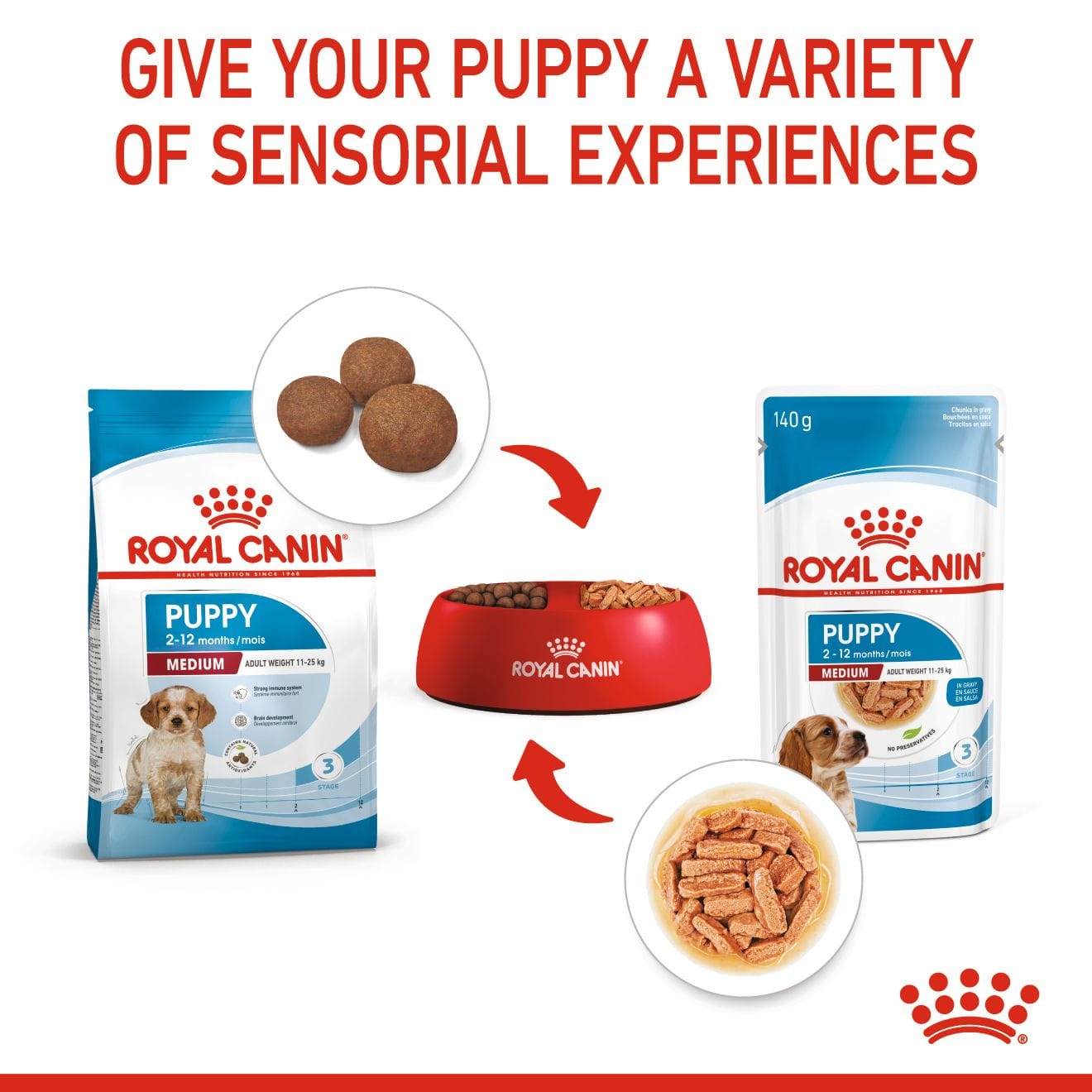 Royal Canin Dry Dog Food for Medium Breed Puppies, 4kg