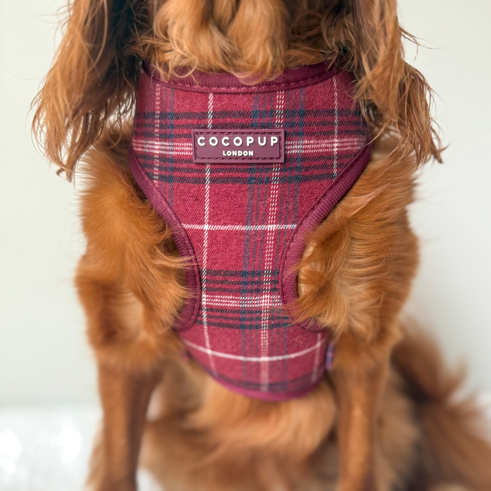 Cocopup Mulberry Plaid Adjustable Neck Dog Harness