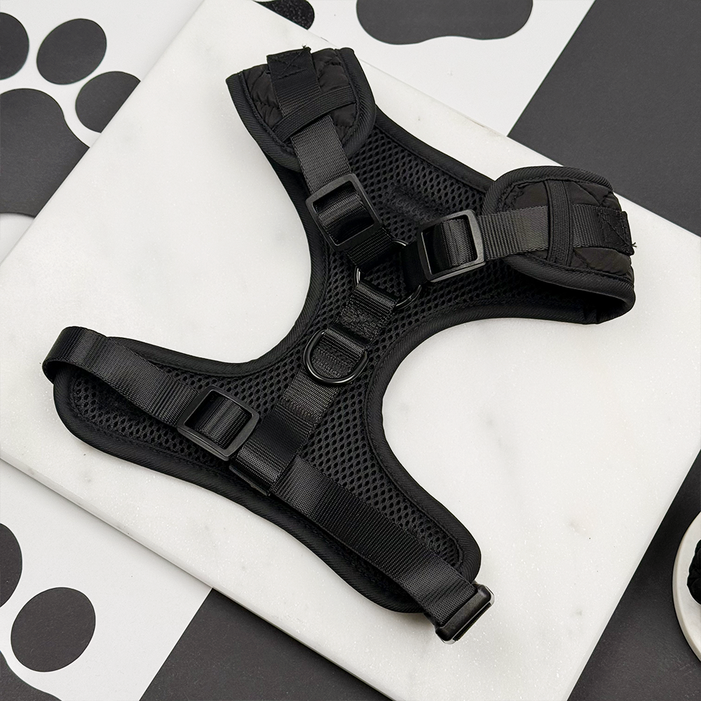 Cocopup Onyx Quilted Adjustable Neck Dog Harness