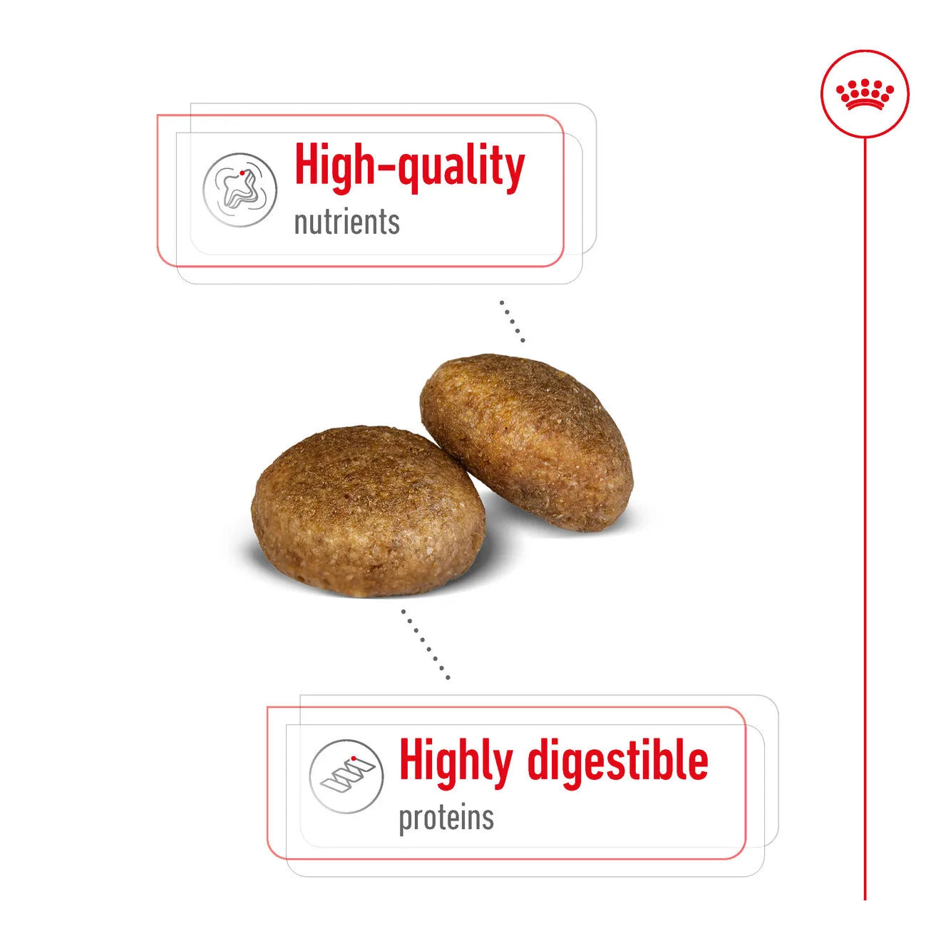 Royal Canin Dry Dog Food for Large Breed Adult Dogs