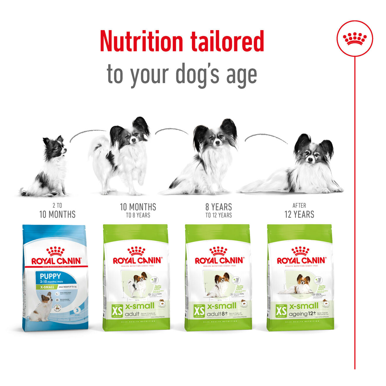 Royal Canin Dry Dog Food for Extra-Small Breed Adult Dogs, 1.5kg