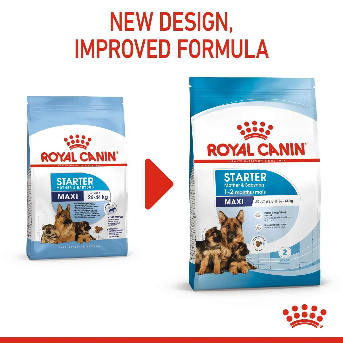 Royal Canin Starter Dry Dog Food for Large Breed Mother & Babydog