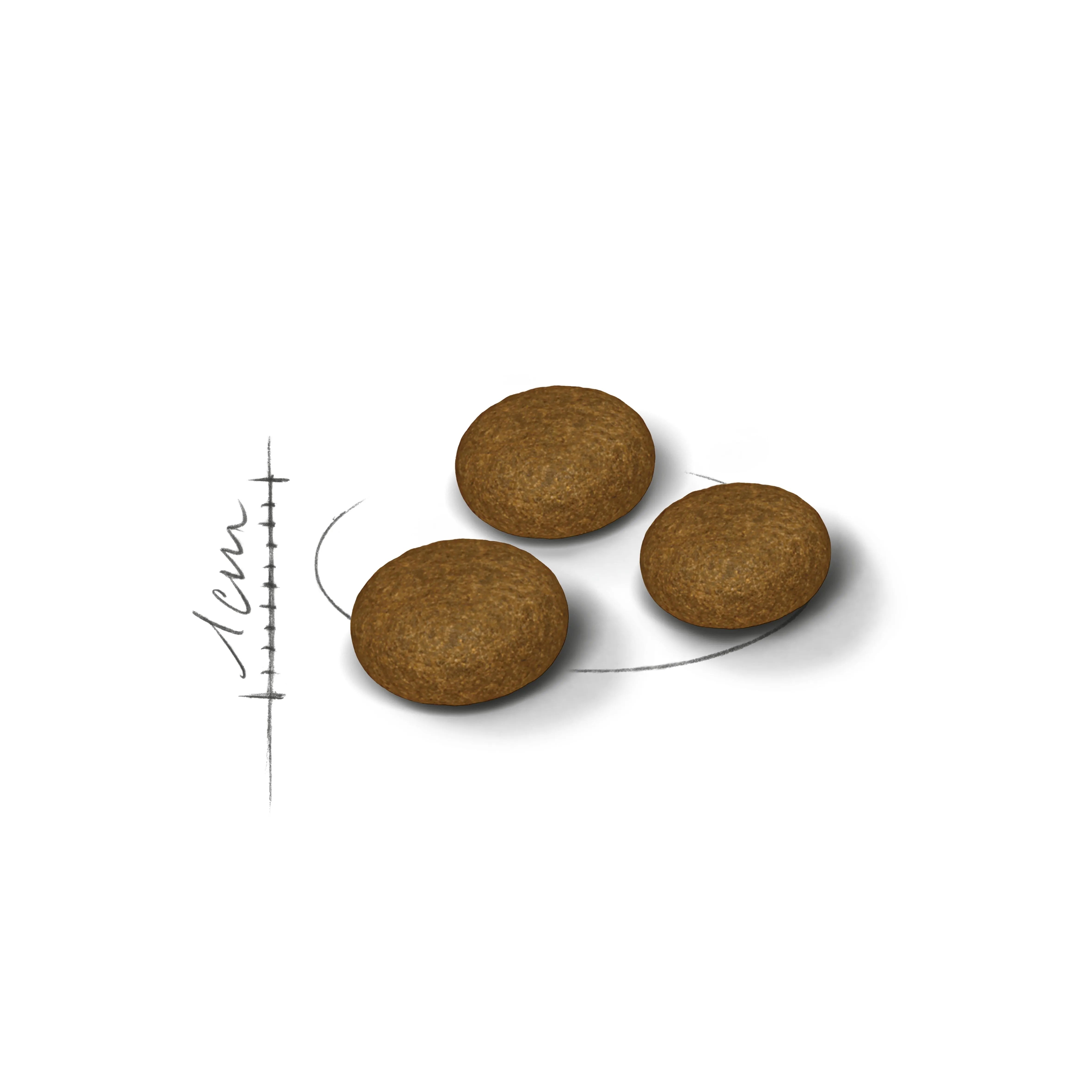 Royal Canin Fussy Exigent Dry Cat Food for Adult Cats