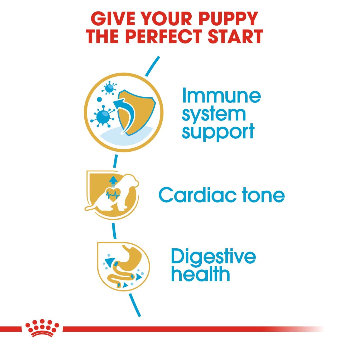 Royal Canin Dry Dog Food for Cavalier King Charles Puppies, 1.5kg