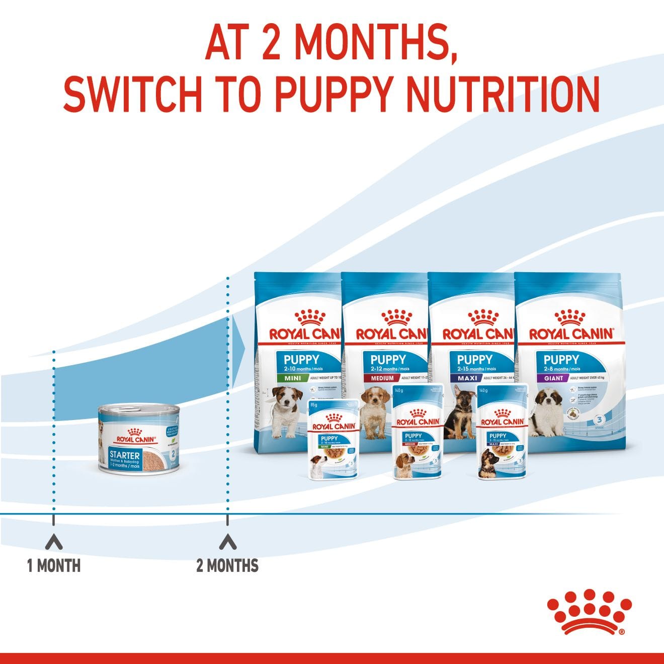 Royal Canin Starter Mother & Babydog Ultra Soft Mousse Wet Dog Food for Adult Dogs & Puppies, 195g
