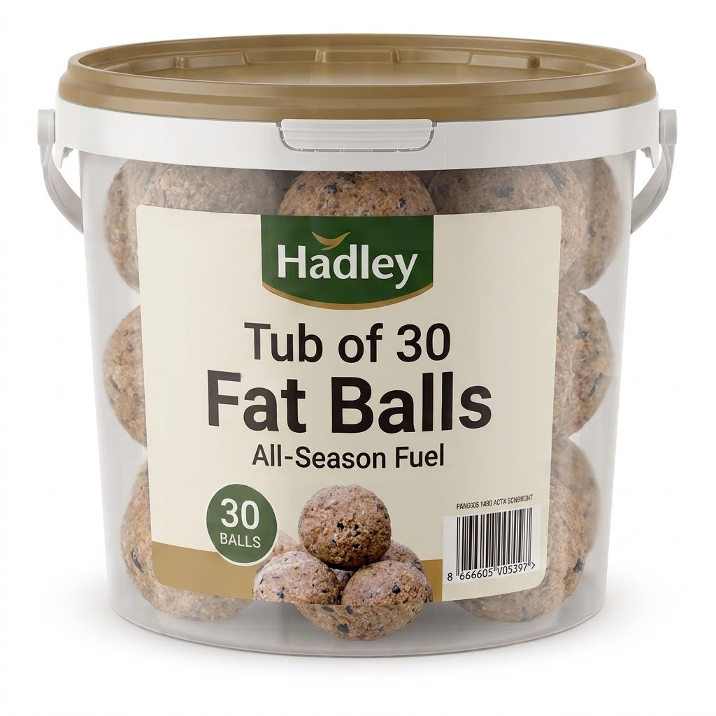 Hadley High-Energy All-Season Fat Balls for Wild Birds – Net-Free Suet Feed (Tub of 30)