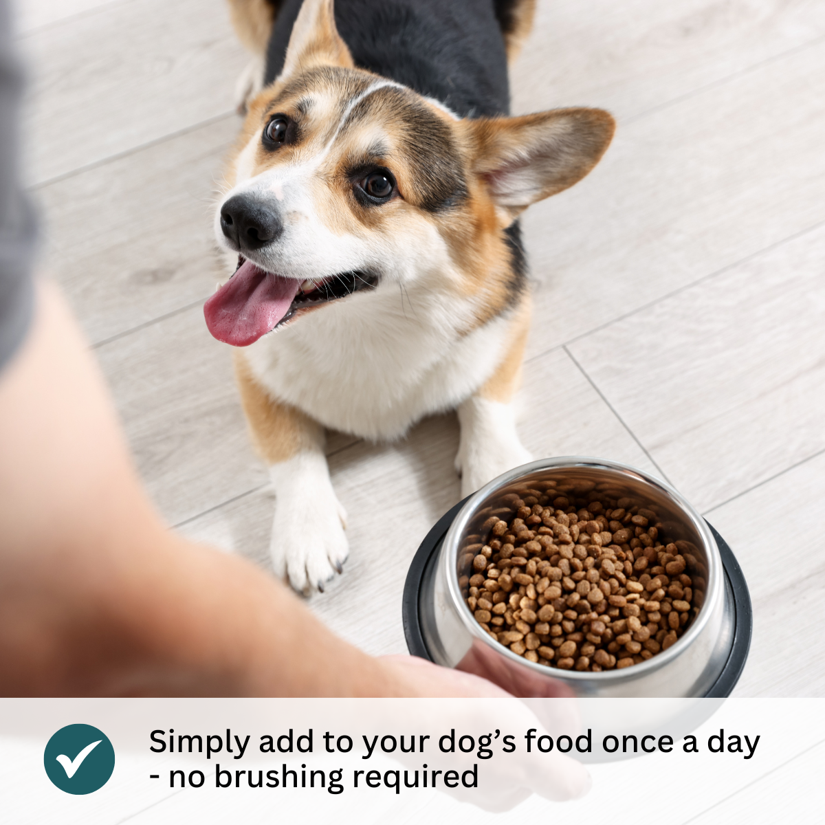 Donation - Tip Top Animal Dog Dental Teeth Cleaning Powder - Fresh Breath & Plaque Removal, 80g