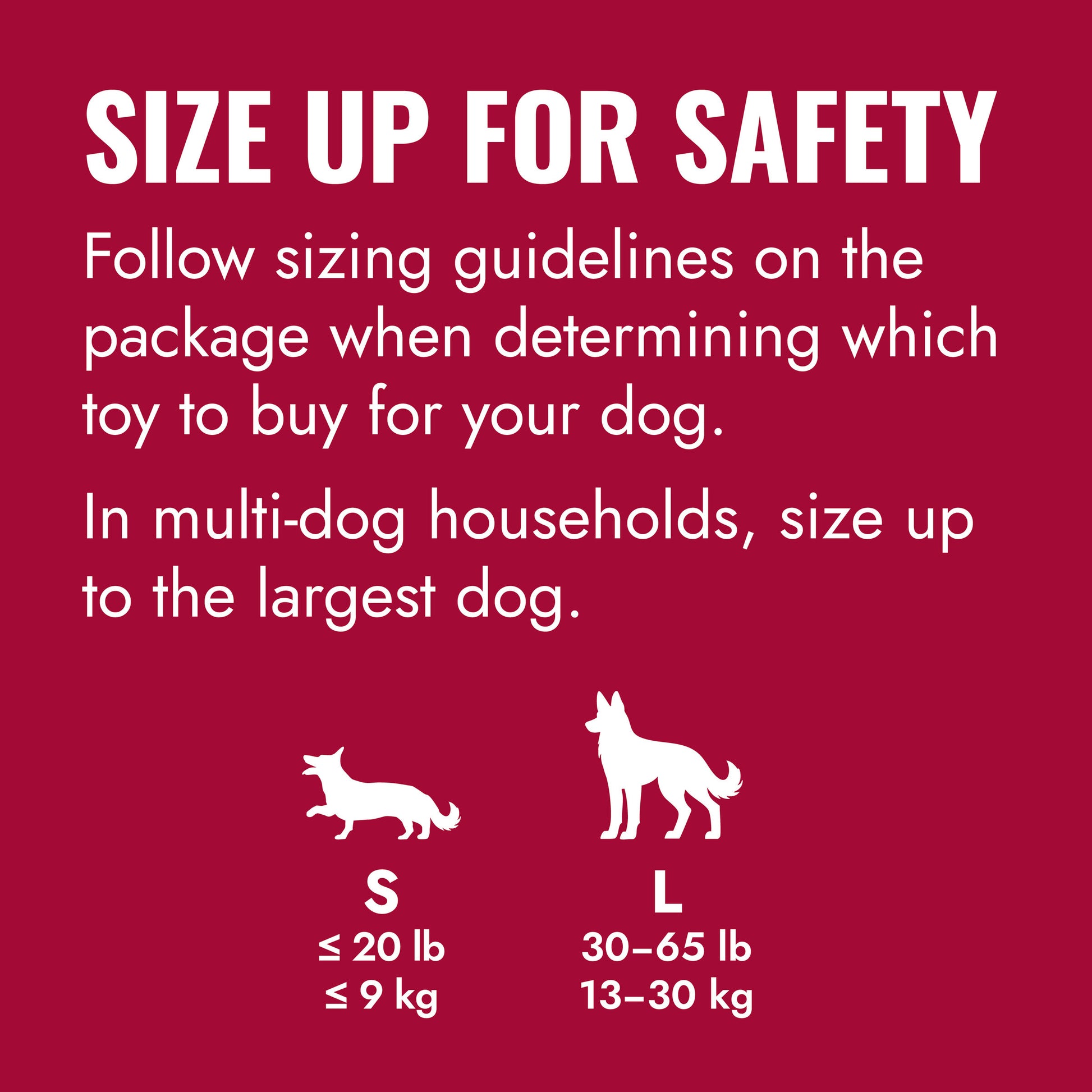 Kong Flyer Frisbee Dog Toy, Large