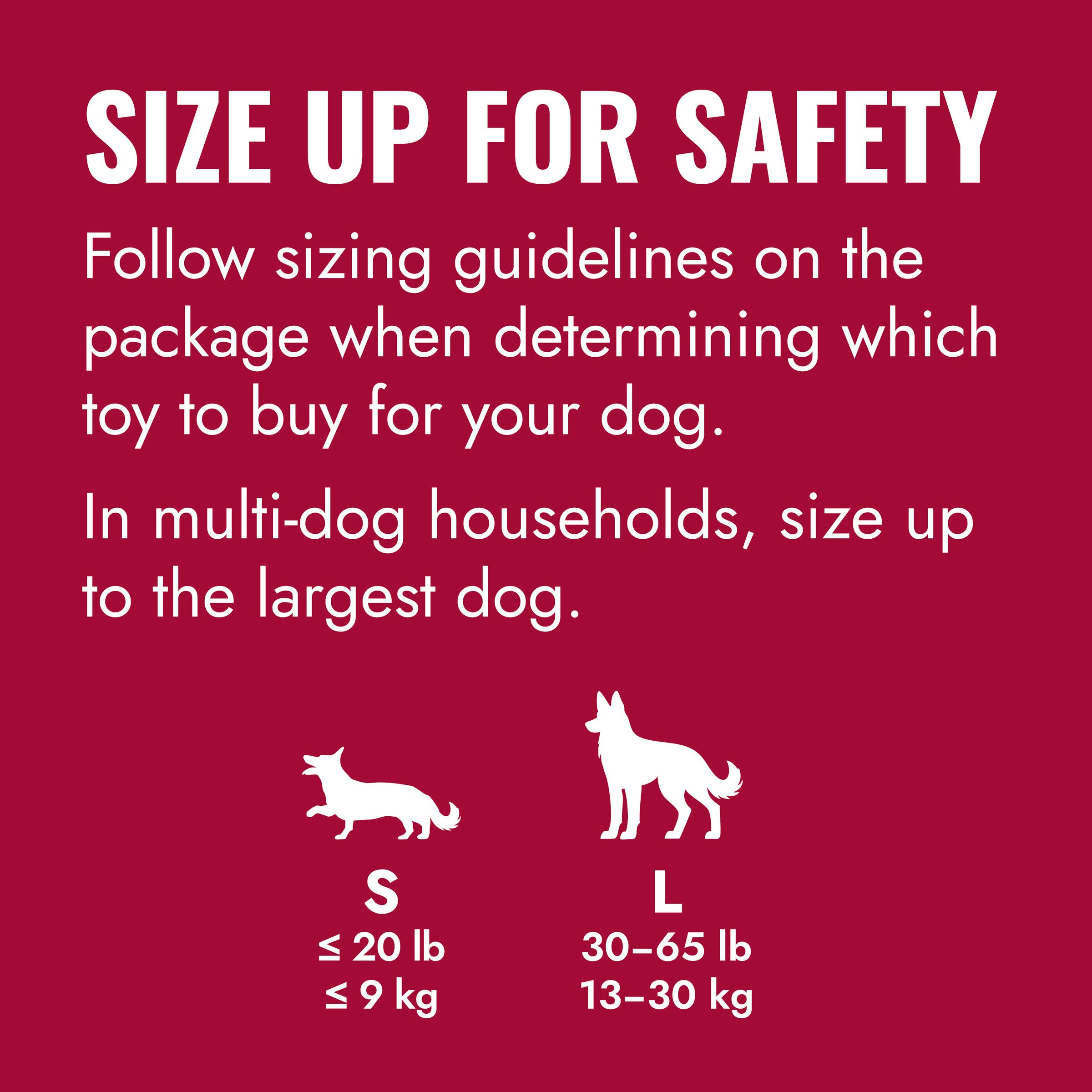 Kong Flyer Frisbee Dog Toy, Large