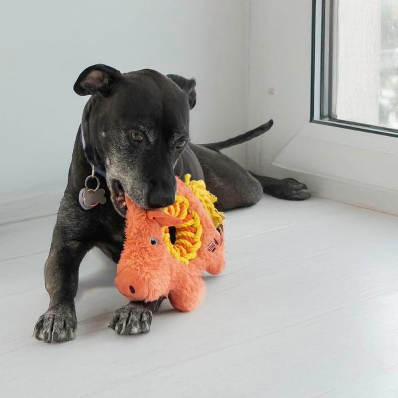 Kong Ringaroos Pig Dog Toy, Medium