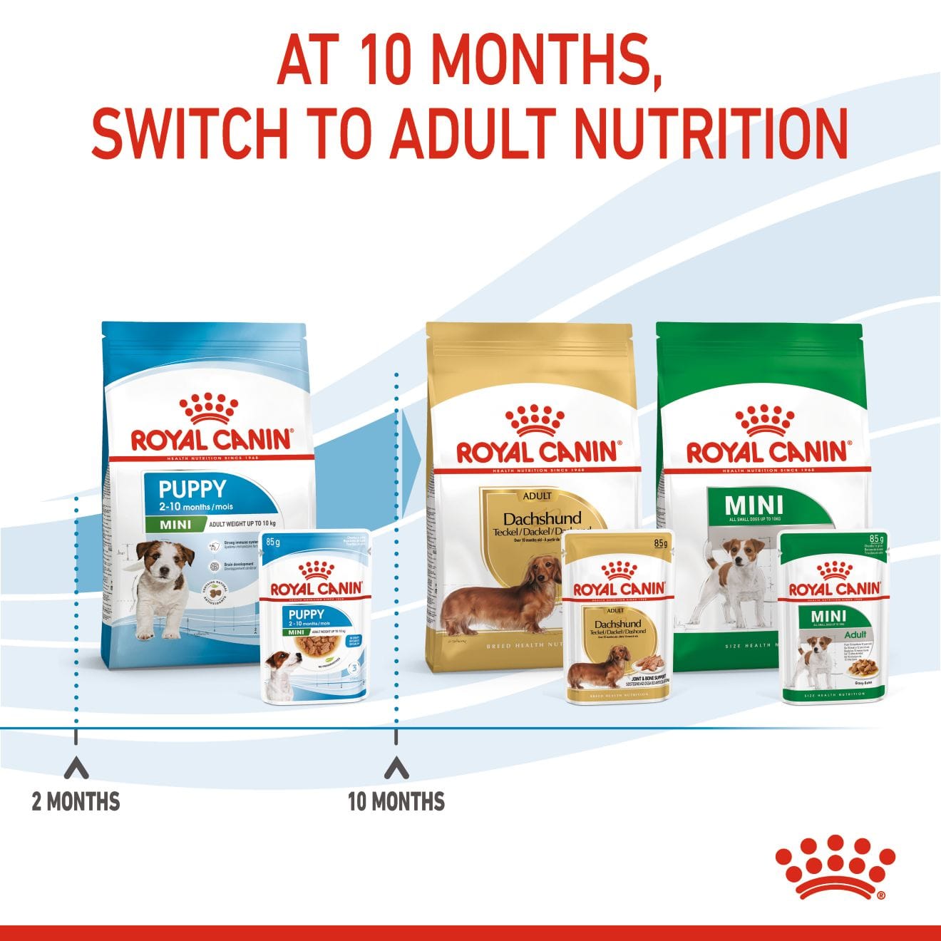 Royal Canin Wet Small Dog Food Chunks In Gravy for Small Breed Puppies, 85g