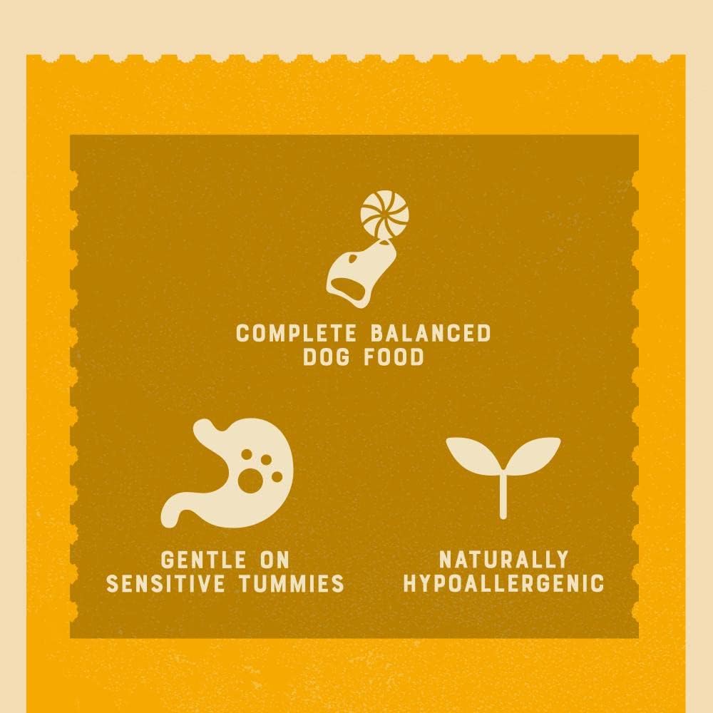 James Wellbeloved Lamb with Rice & Vegetables in Gravy Wet Dog Food for Senior Dogs, 10 x 150g