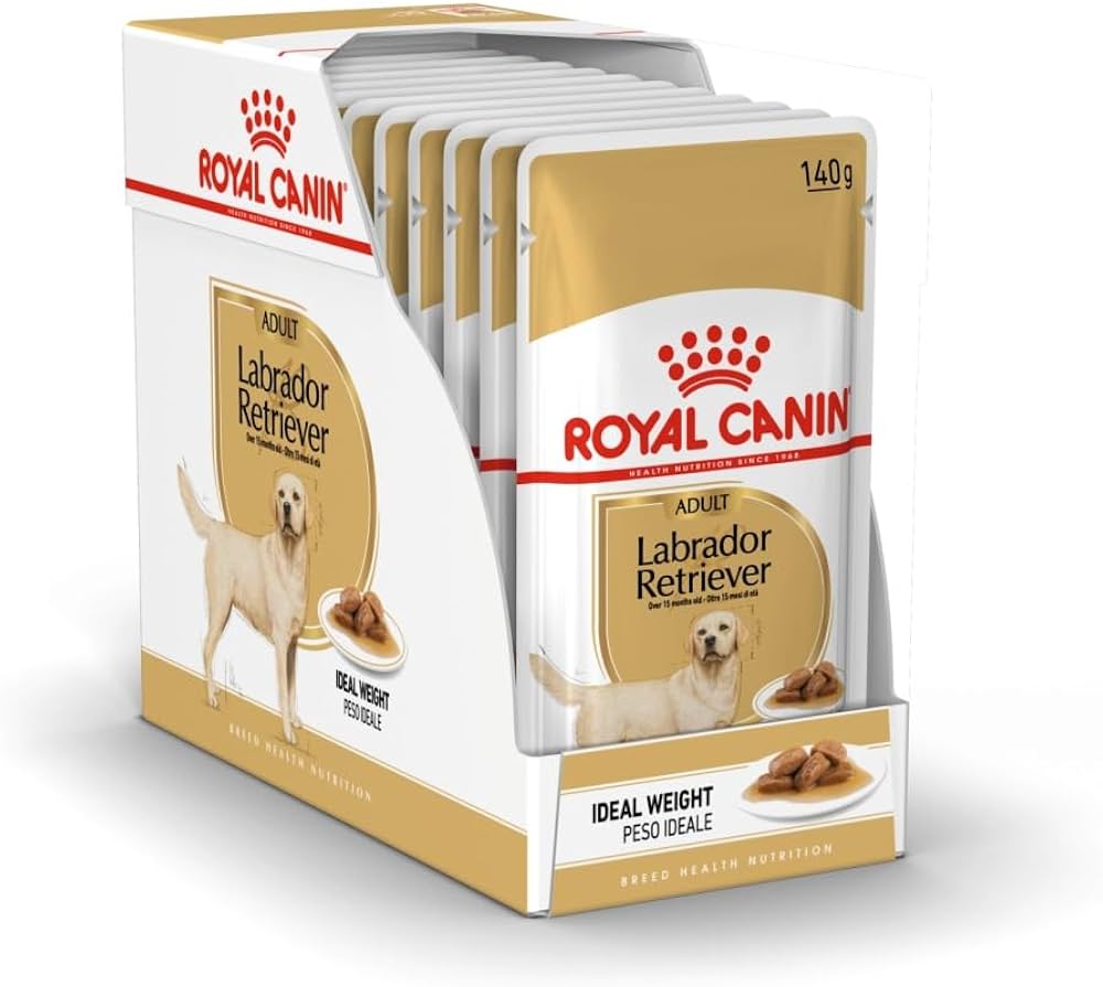 Royal Canin Wet Dog Food Chunks In Gravy for Adult Labrador Retrievers, 140g