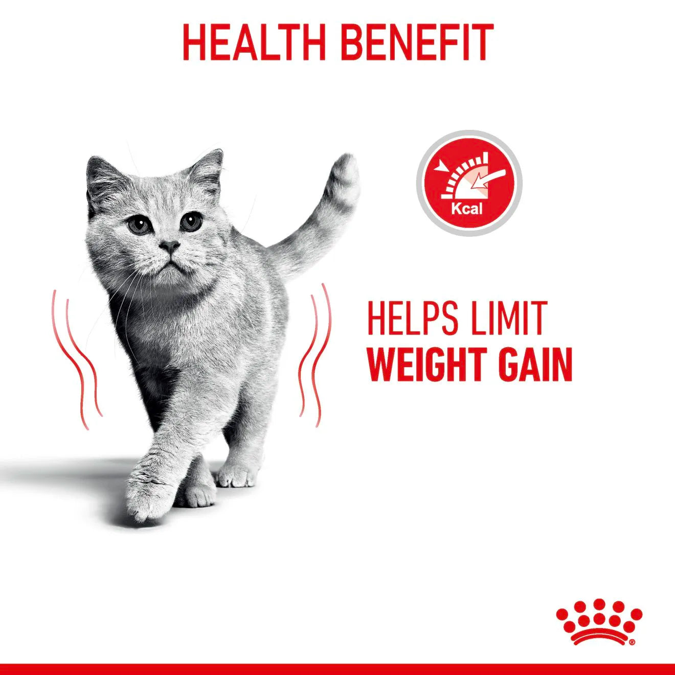 Royal Canin Light Weight Care Dry Cat Food for Adult Cats