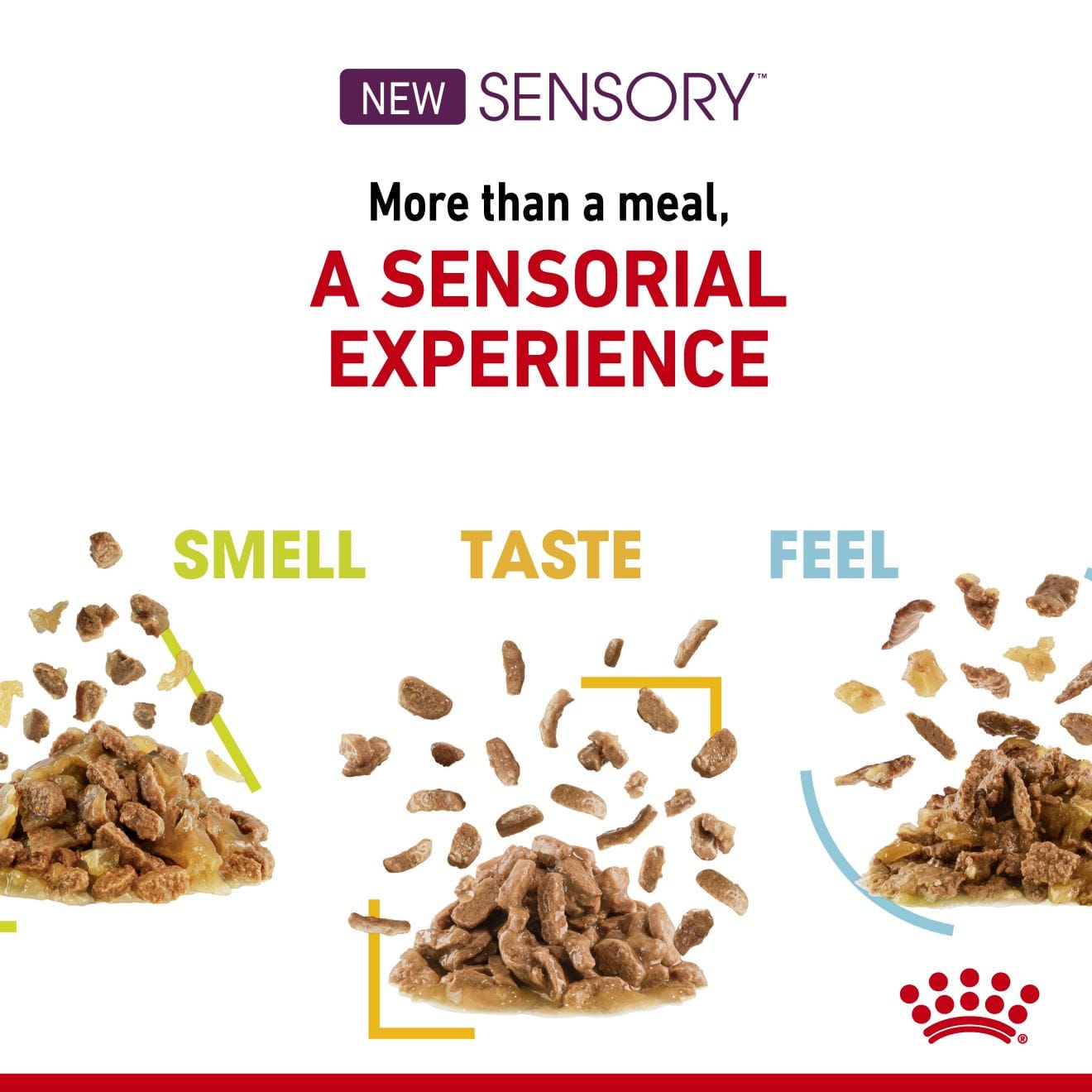 Royal Canin Sensory Smell Wet Cat Food Chunks In Gravy for Adult Cats, 85g