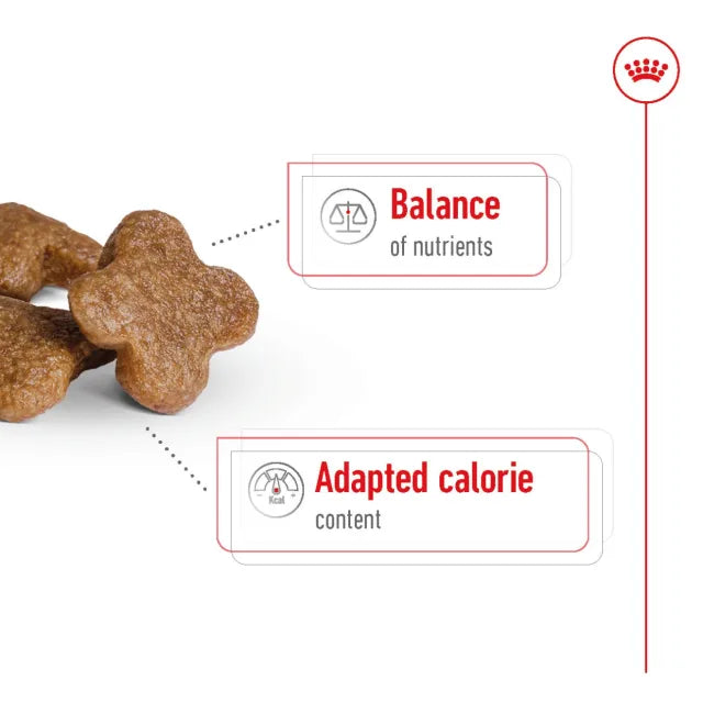 Dog food with health benefits text on a white background