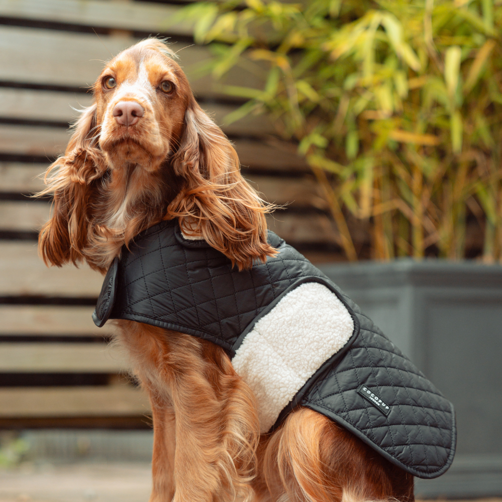 Cocopup Midnight Black Luxe Quilted Dog Coat, Medium