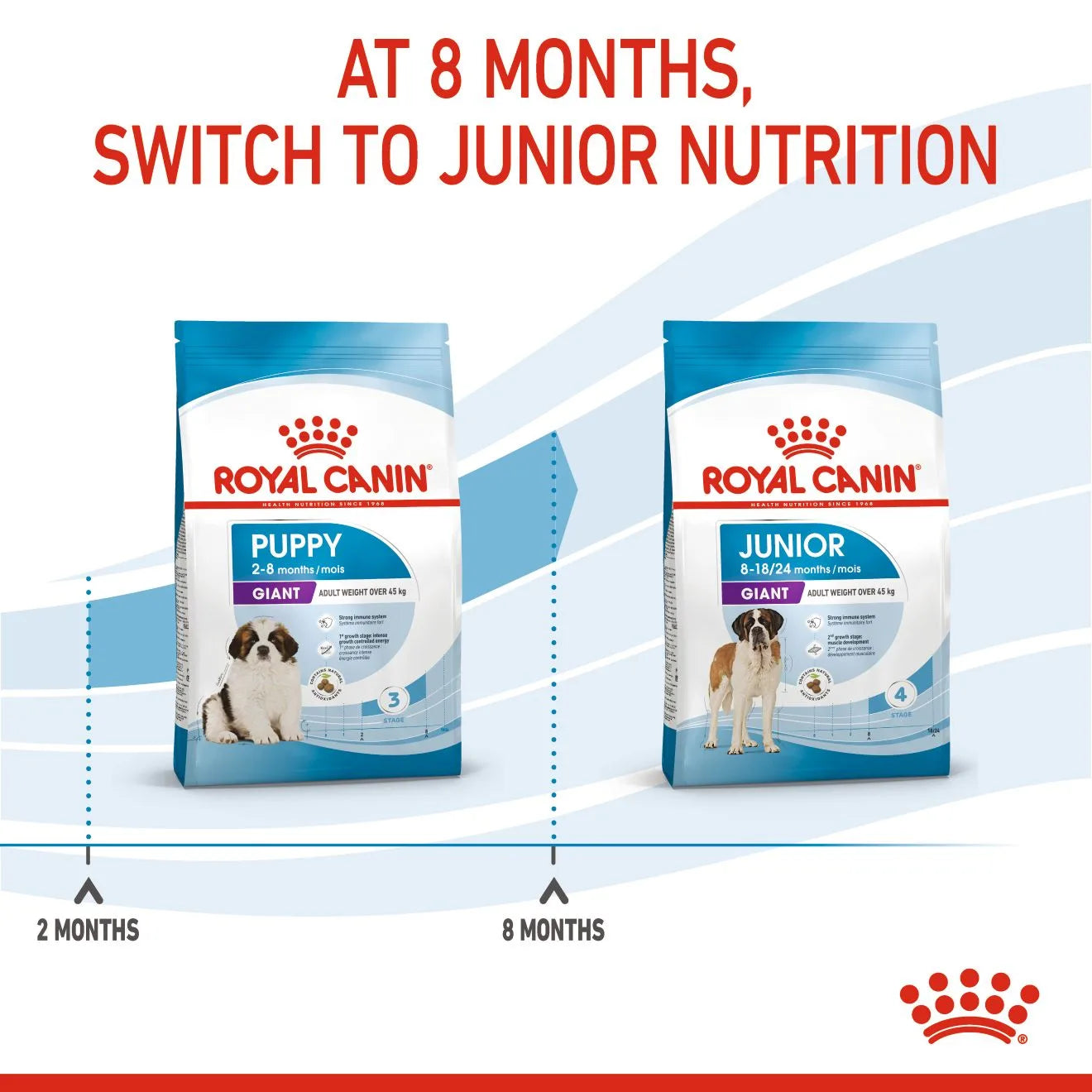 Royal Canin Dry Dog Food for Extra Large Breed Puppies, 15kg