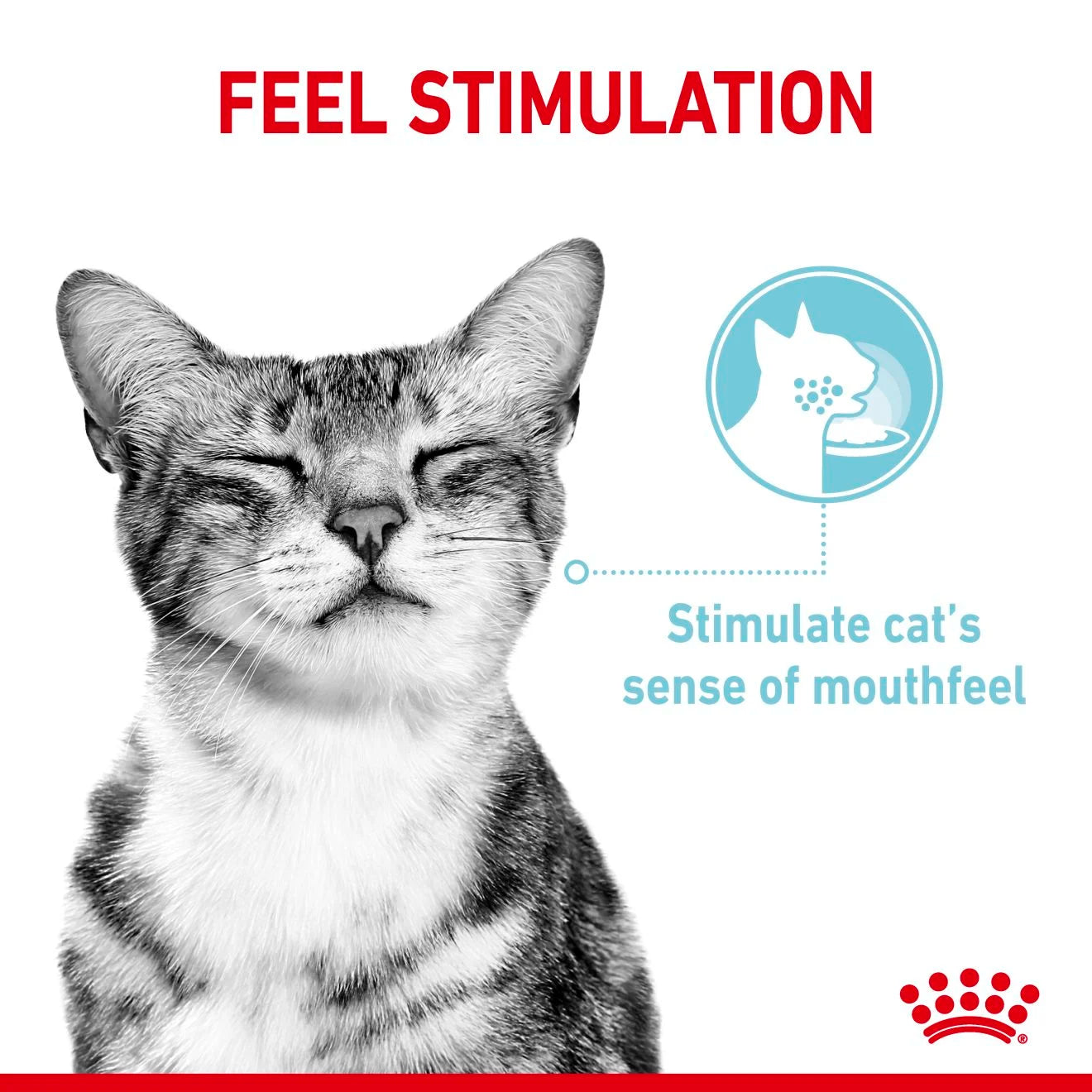 Royal Canin Sensory Mixed Pack Wet Cat Food for Adult Cats, 12 x 85g