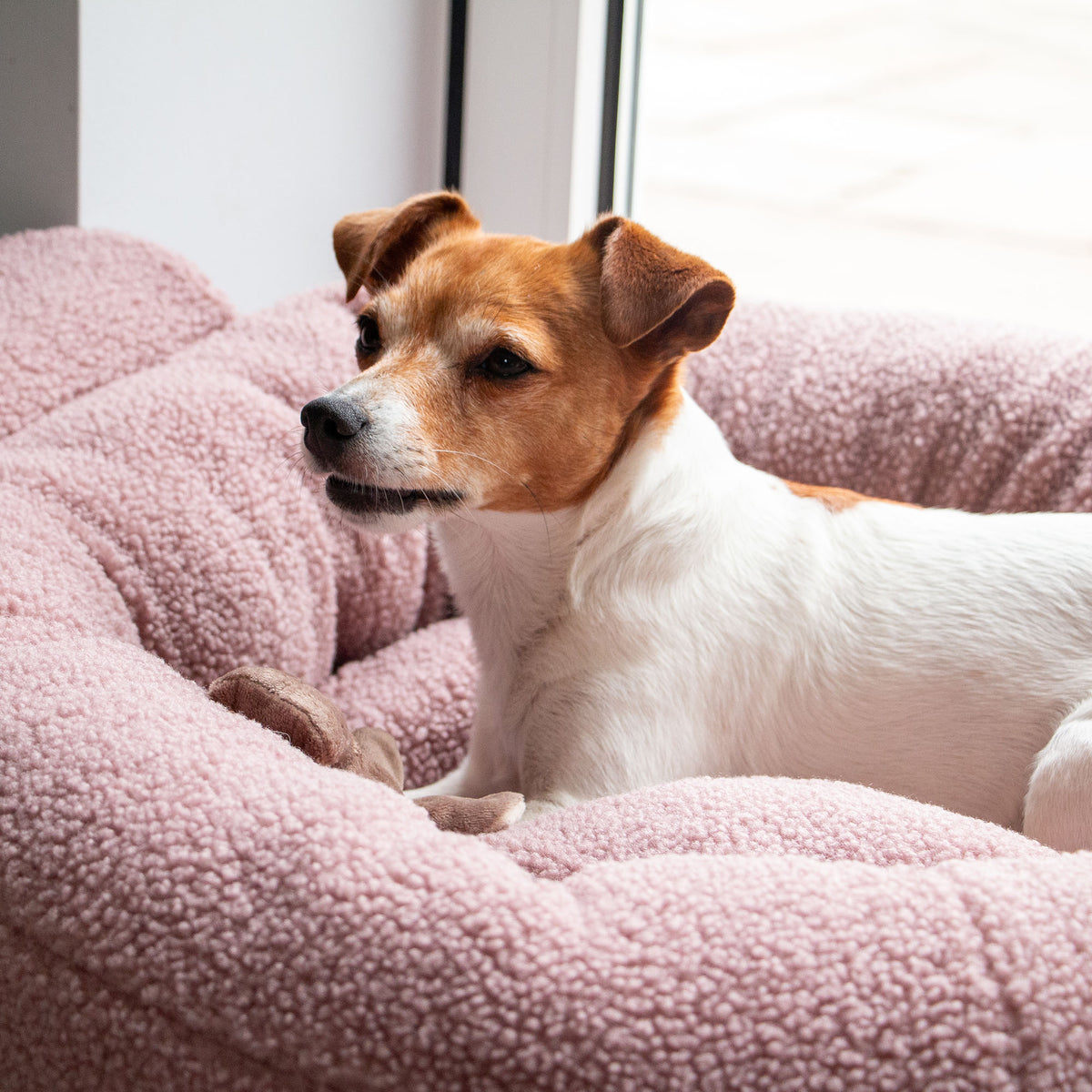 Ancol 70cm Small Bite Teddy Bear Donut Pet Bed, Rose