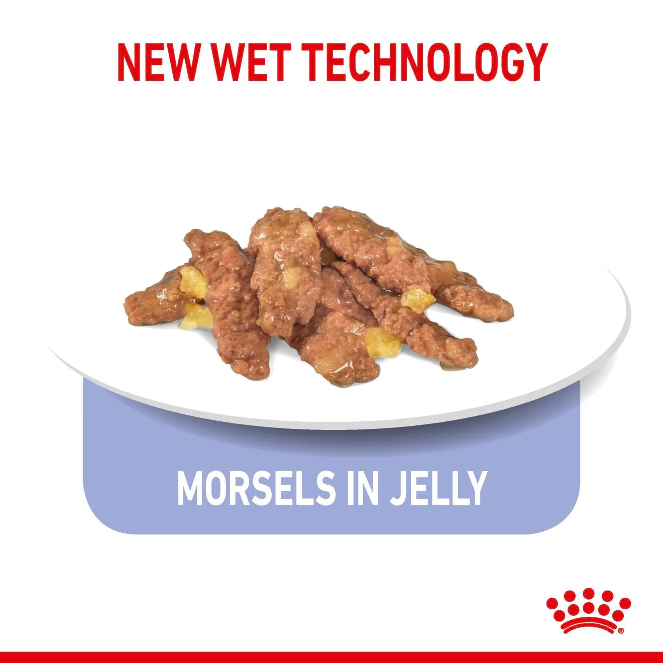 Royal Canin Indoor Sterilised Wet Cat Food Morsels in Jelly for Adult Cats, 85g