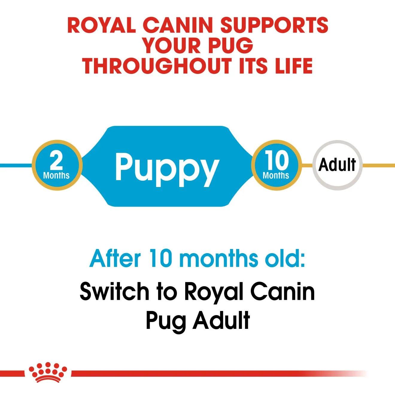 Royal Canin Dry Dog Food for Pug Puppies, 1.5kg