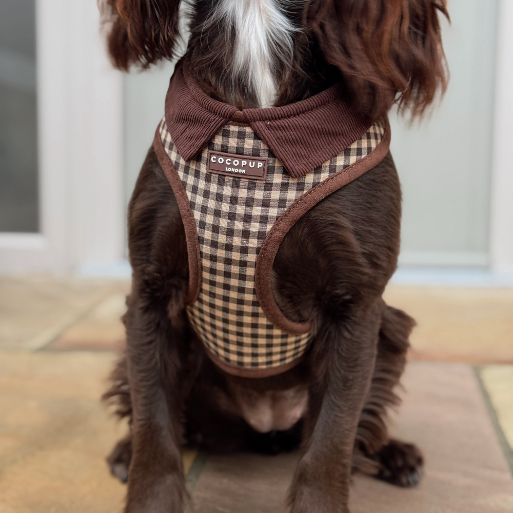 Cocopup Cotswolds Check Adjustable Neck Dog Harness