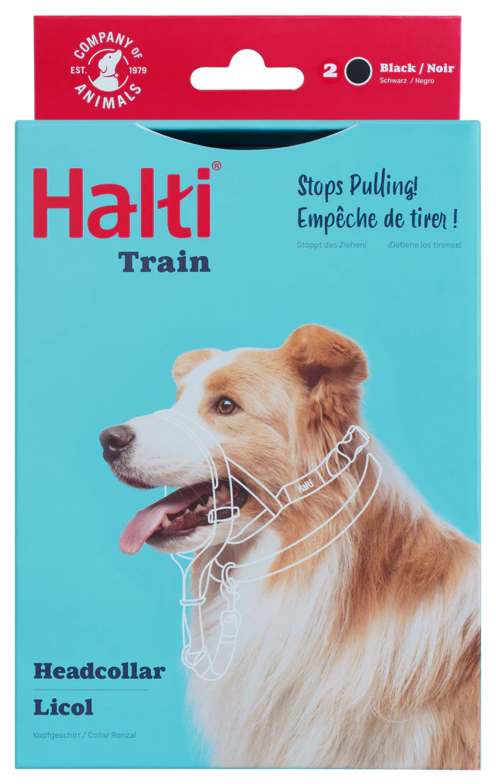 Halti Train Headcollar, Black