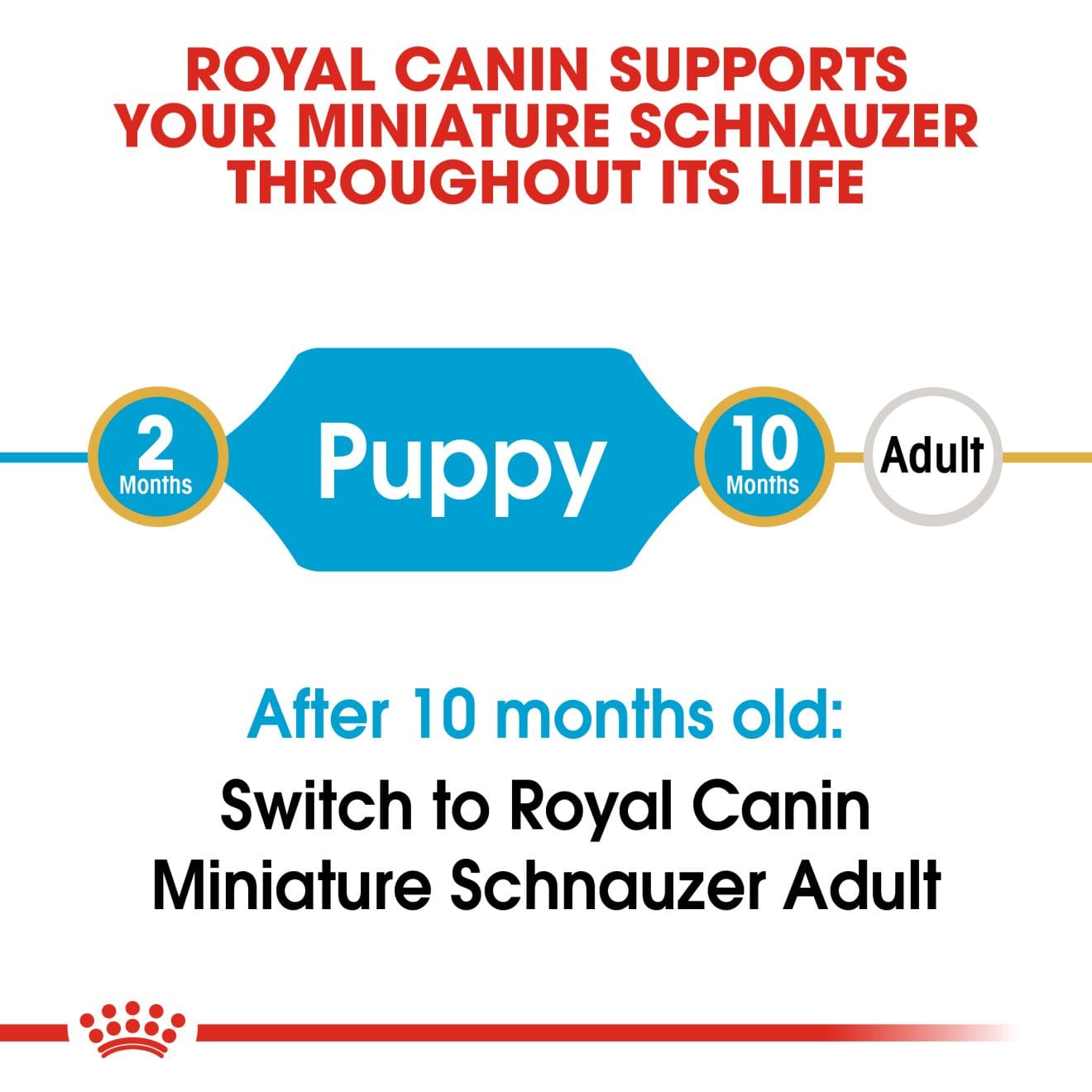 Royal Canin Dry Dog Food for Schnauzer Puppies, 1.5kg